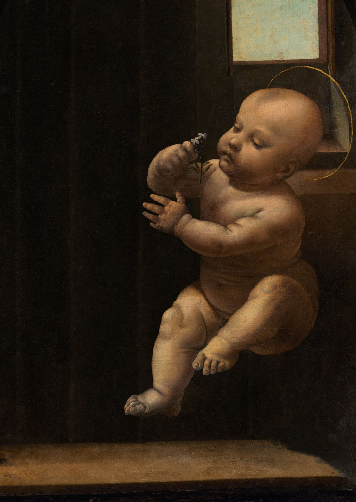 Мадонна с младенцем (Мадонна Бенуа) . Леонардо да Винчи, 1478, Государственный Эрмитаж 